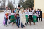 КОЛЯДКИ КОЛЯДКИ